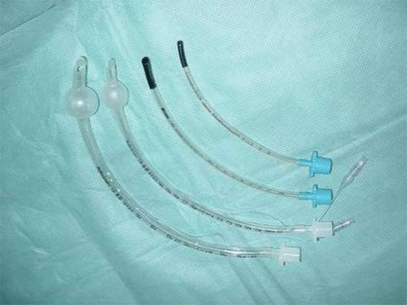 dealbh-1